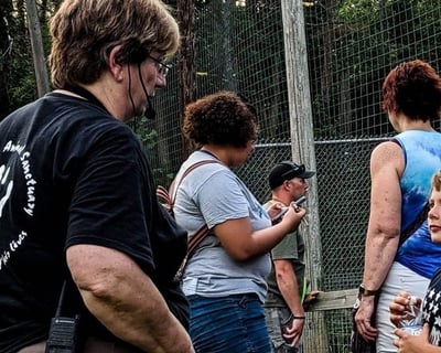 1-Hour Animal Sanctuary Tour in Albion