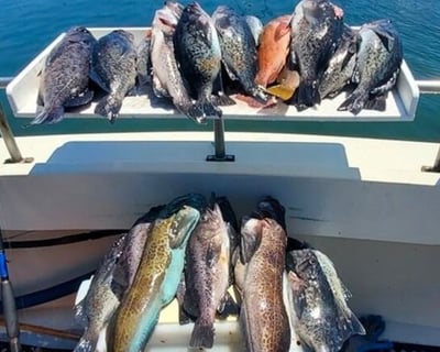 Santa Cruz Nearshore Rockfish & Lingcod Charter