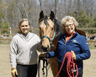 45-Minute Horsemanship Ground Lesson in Princeton