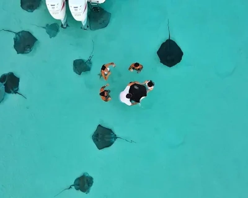 Private Stingray City & Snorkeling Tour in Grand Cayman