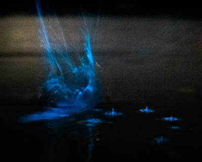 Fort Flagler Bioluminescence Kayak Tour