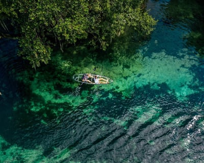 Private Clear Kayak Guided Tour in Dunnellon