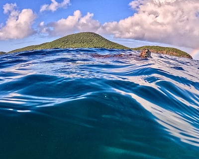 1.5-Hour Guided Snorkeling Tour in Culebra