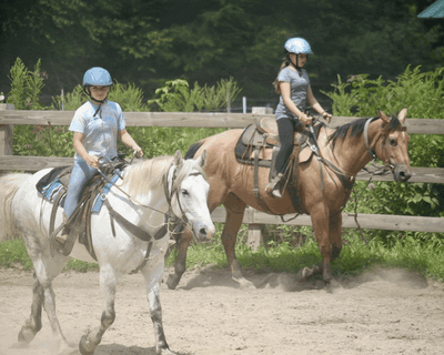 Group Horseback Riding Lesson (Walk-Trot-Canter)