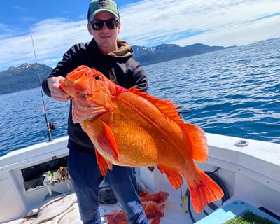 Halibut & Rockfish Charter in Homer