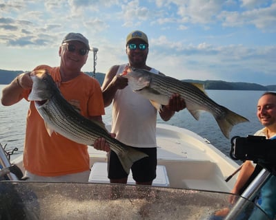 Lake Nottely Striped Bass Fishing Charter