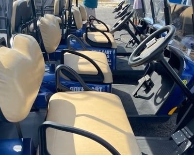 1-Day Golf Cart Rental at St. Andrews State Park