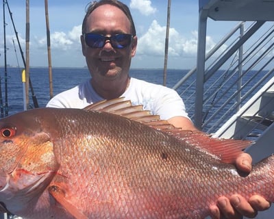 4-Hour Offshore Fishing Charter in Riviera Beach