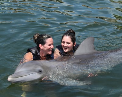 Swim With Dolphins in Key Largo