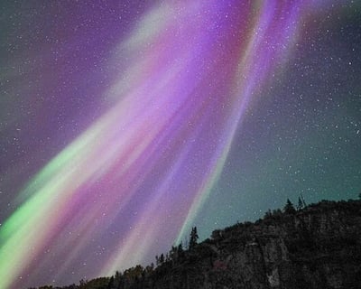 Full-Day Guided Moose Hike & Aurora Chase in Anchorage