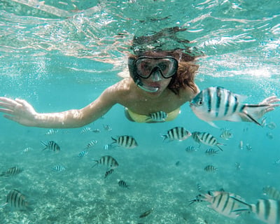 San Juan Guided Fish & Turtle Snorkeling Tour