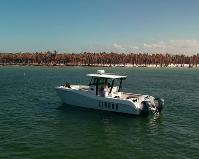 Private 4-Hour Snorkeling Charter in St. Petersburg