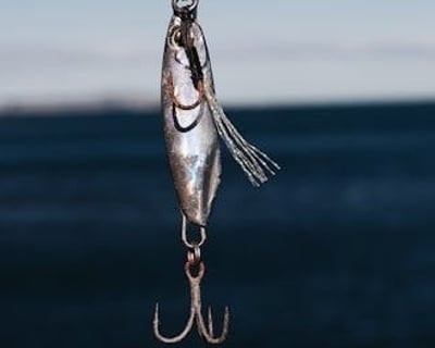 3-Hour Fishing & Shelling Charter in Marco Island