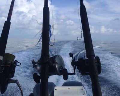 6-Hour Gulf of Mexico Fishing Charter in Freeport