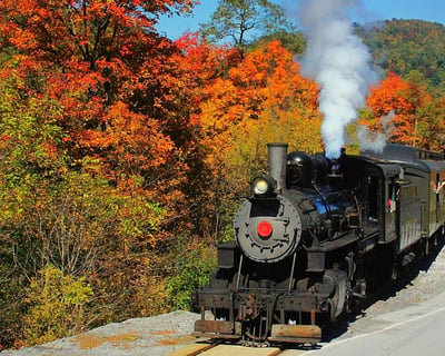 Hollidaysburg Fall Foliage Train Ride