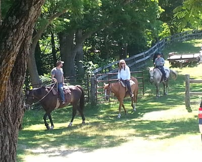 Fern Forest Trail Horseback Ride
