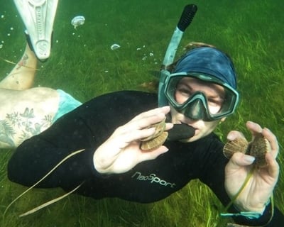 5-Hour Crystal River Scalloping Snorkel Charter