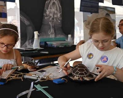 Sea Turtle Rehabilitation Lab in Juno Beach