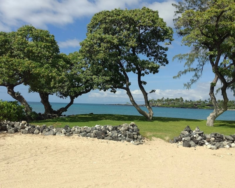 Private Hawaiʻi Volcanoes National Park Tour from Hilo