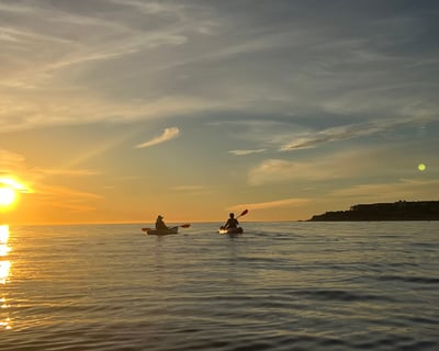 Guided Ocean Kayaking on the Palos Verdes Peninsula