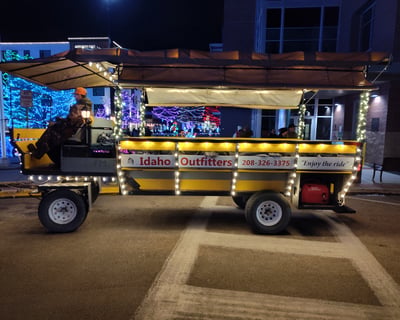 Horse-Drawn Christmas Light Carriage Ride in Caldwell