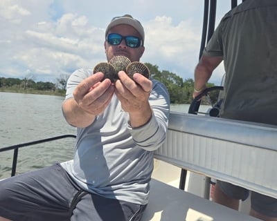 Scalloping Charter in Yankeetown