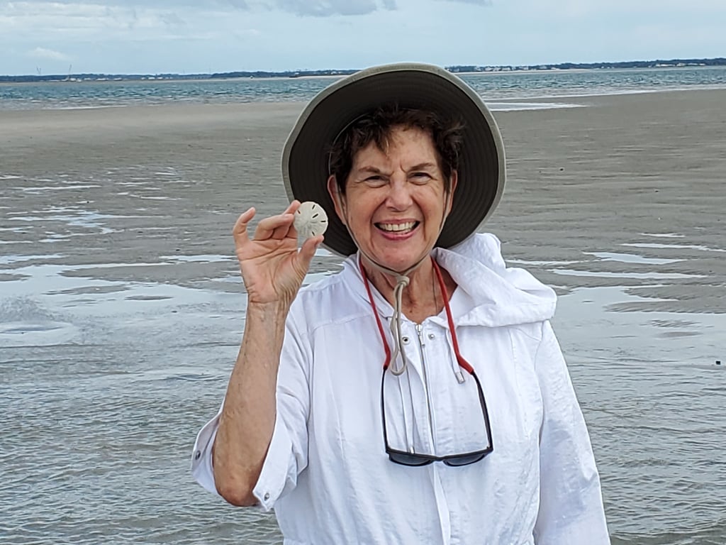 Collect Sand Dollars & See Wild Horses by Boat