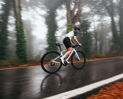 8-Hour Performance Road Bike Rental in Calistoga