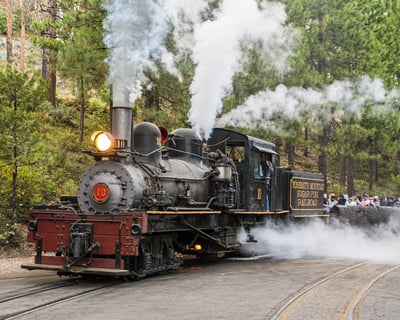 Logger Steam Train Ride at Yosemite Mountain Sugar Pine Railroad