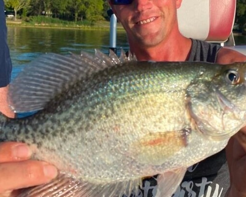Crappie & Hybrid Striper Fishing Charter on Cedar Creek Lake