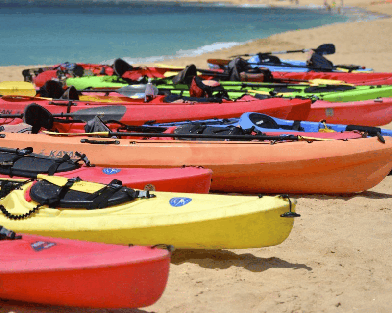 Full-Day Kayak & Paddleboard Rental in Navarre Beach