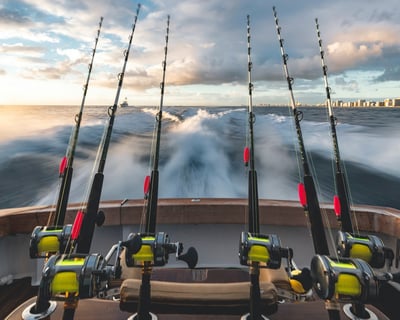Reef & Wreck Fishing Charter in Islamorada