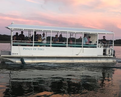 Hilton Head Private Dolphin Watching Boat Tour