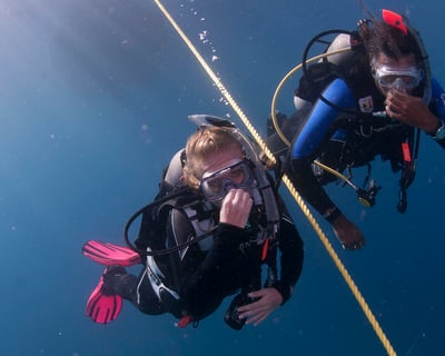 PADI Open Water Diver Referral Course in San Diego