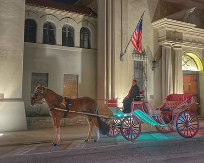 St. Augustine Wedding Carriage Ride