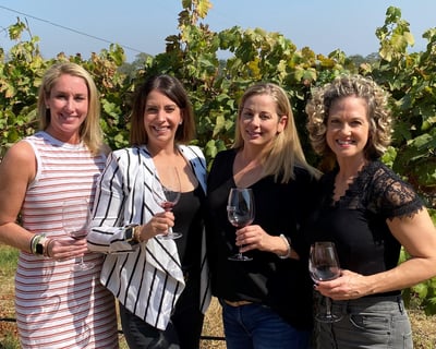 Small-Group Sonoma Wine Tasting Tour with Charcuterie