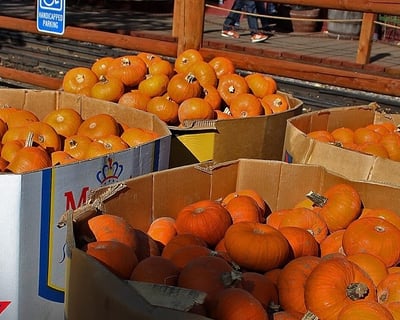 Georgetown Pumpkin Fest Train Ride