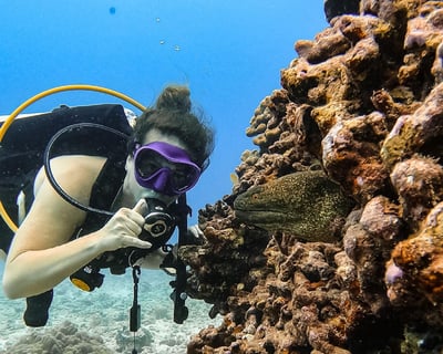 Dive Package for Certified Divers in Waikiki
