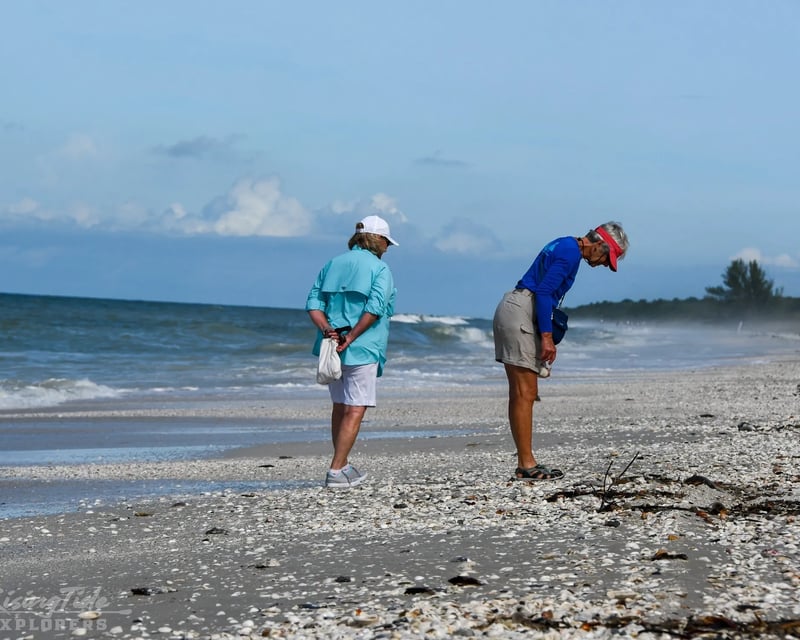 Cruise Naples & Keewaydin Island Shelling Tour