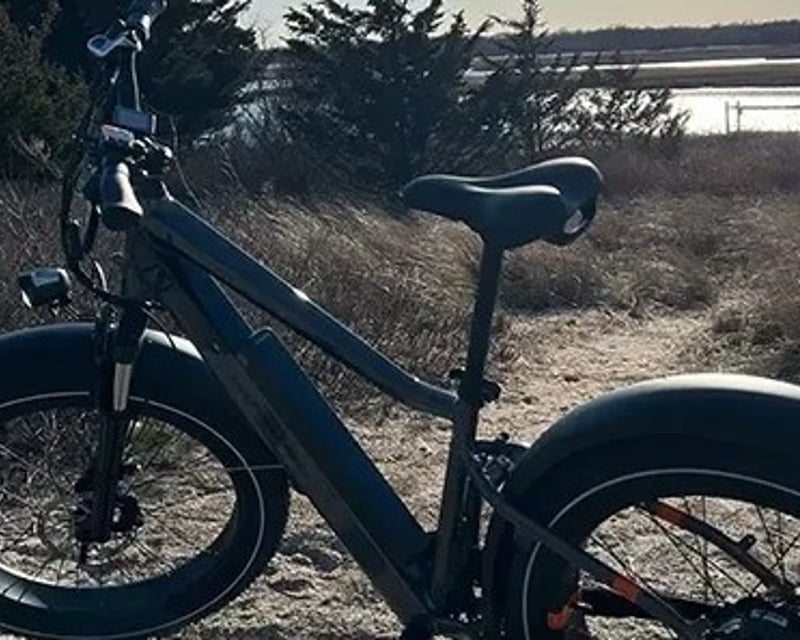 Springs & East Hampton E-Bike Tour from Amagansett