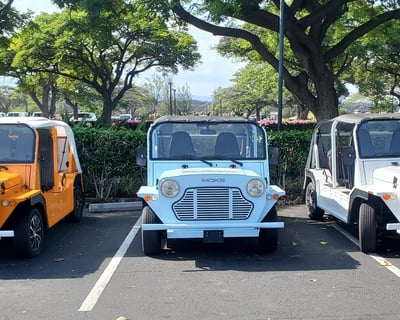 Waikoloa Resort Electric Moke Rental