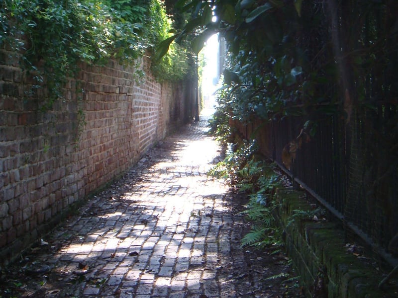 Gallery image 2
