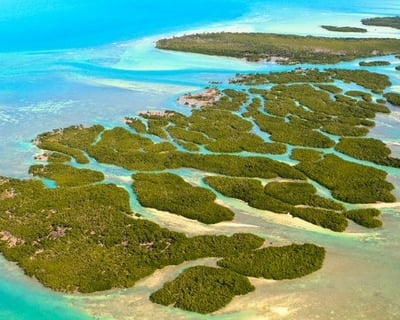 Private National Wildlife Refuge Eco Tour