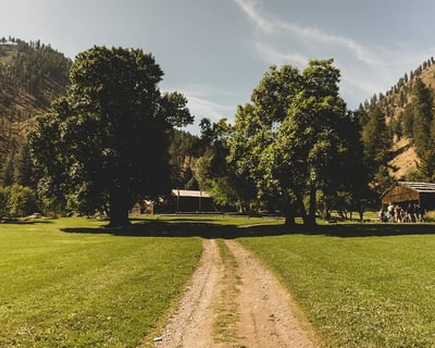 Salmon River Jet Boat & Wildlife Tour, Riggins