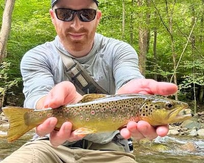 Guided Fly Fishing Trips And Clinics