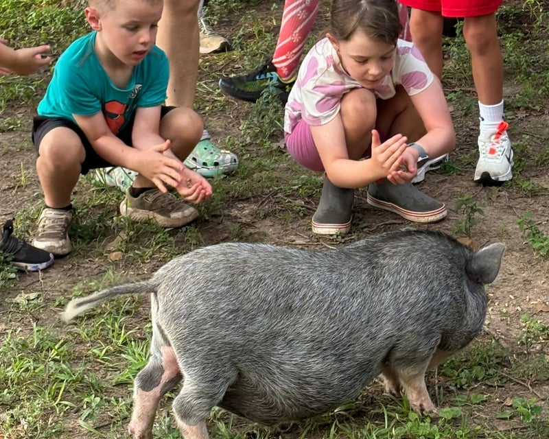 Rescue Animal Farm Visit & Feeding in Tomball