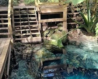 4-Hour Paradise Springs Cavern Dive