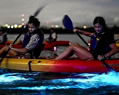 Bioluminescent Kayak Tour in Fajardo
