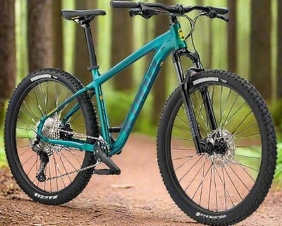 Mountain Bike Rental in Port Gamble