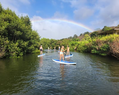 Paddle Anahulu River & Spot Green Sea Turtles